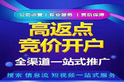 探索SEM竞价优化：成功企业的广告策略
